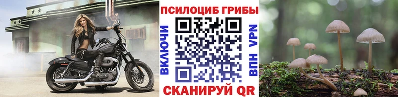 закладки Пермь hydra зеркало Псилоцибиновые грибы Psilocybe