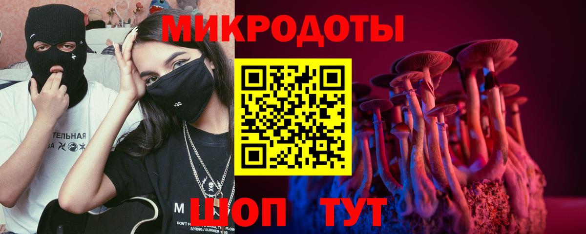 Псилоцибиновые грибы Cubensis Пермь
